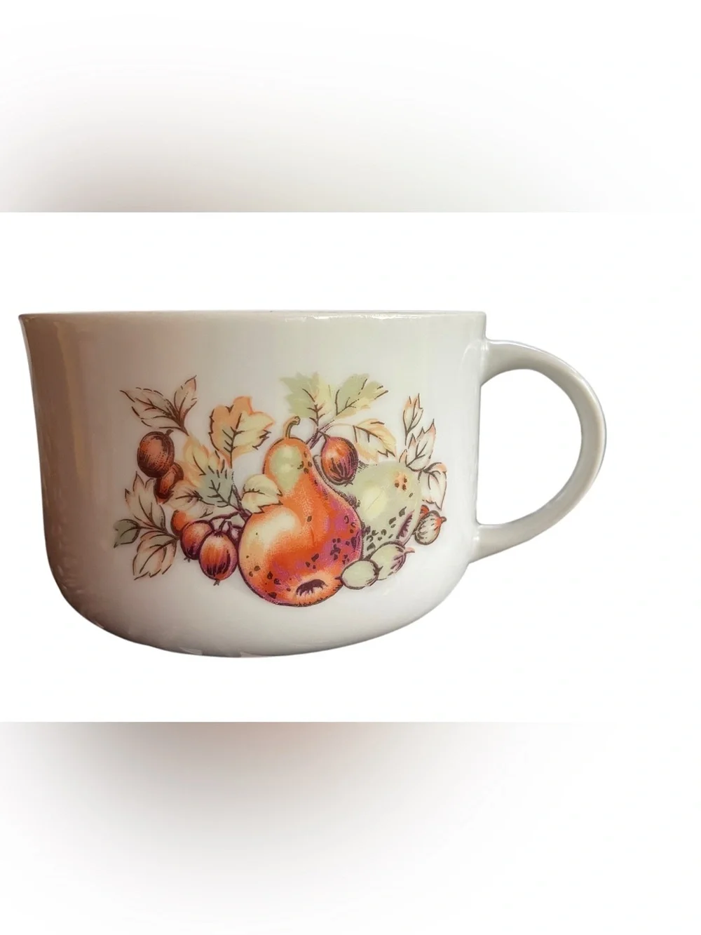 VTG MCM Autumn Harvest Fruit Soup Bowl Mug  70s Kitchen Retro